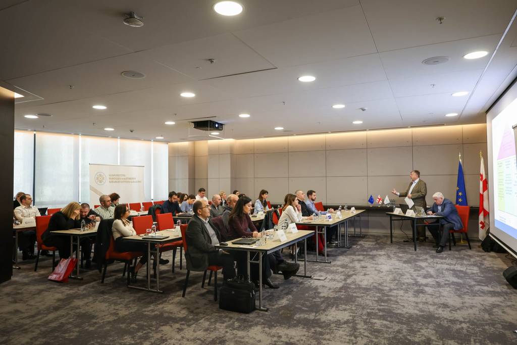 პროფესორ კარელ ვან ჰულეს სამუშაო შეხვედრა საქართველოში ლიცენზირებულ სადაზღვევო კომპანიებთან