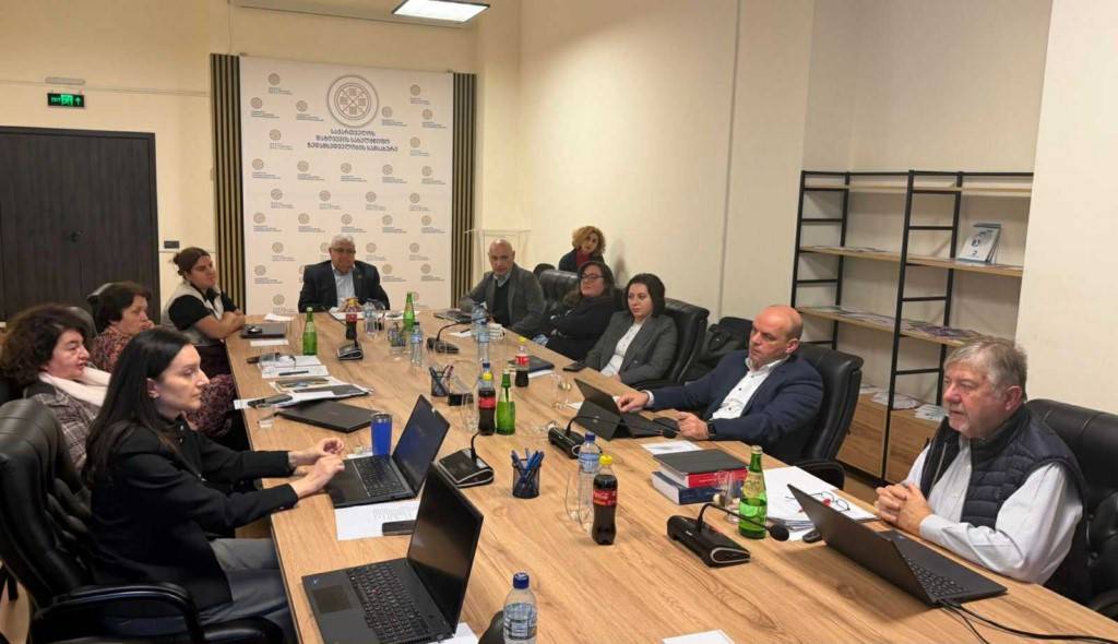 პროფესორ კარელ ვან ჰულეს სამუშაო შეხვედრა საქართველოს დაზღვევის სახელმწიფო ზედამხედველობის სამსახურთან